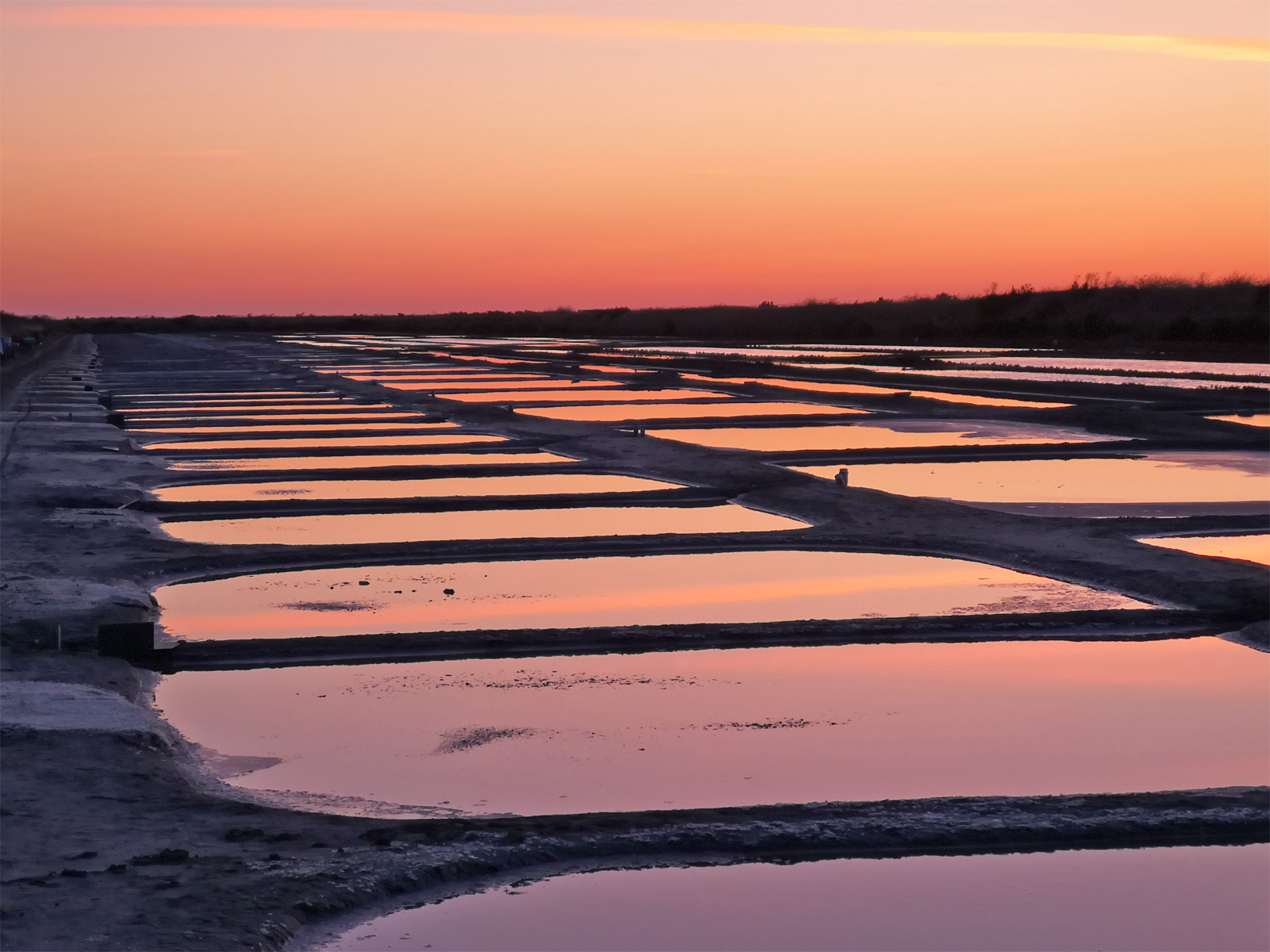 Marais salants de l'île de Ré image 1