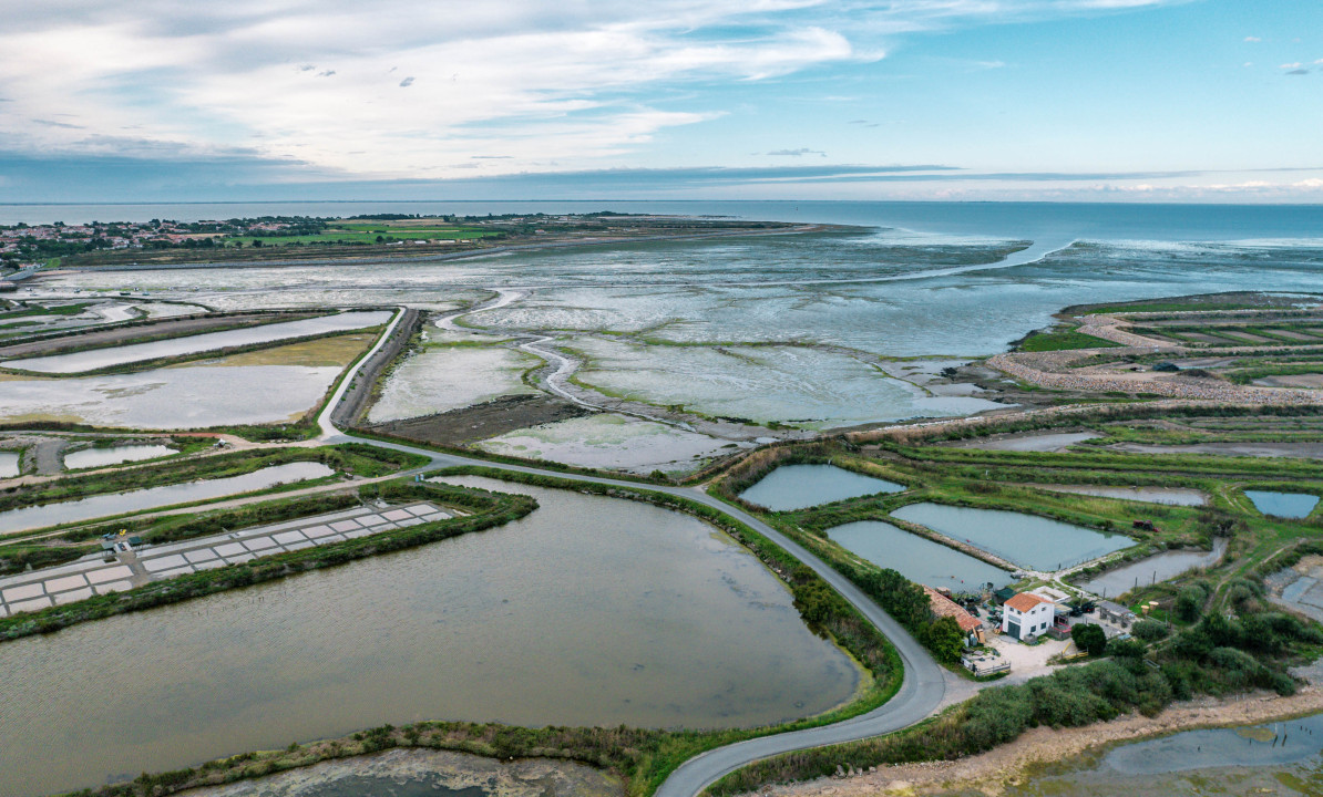 Marais salants de l'île de Ré image 2