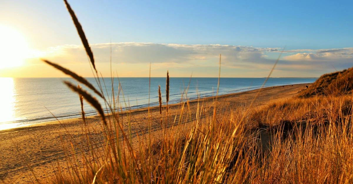 Plage de l'île de Ré image 1