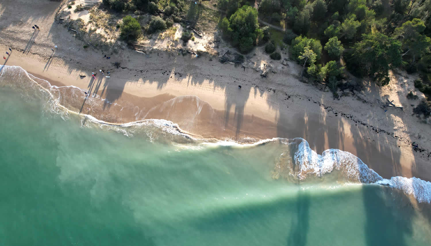Plage de l'île de Ré image 2
