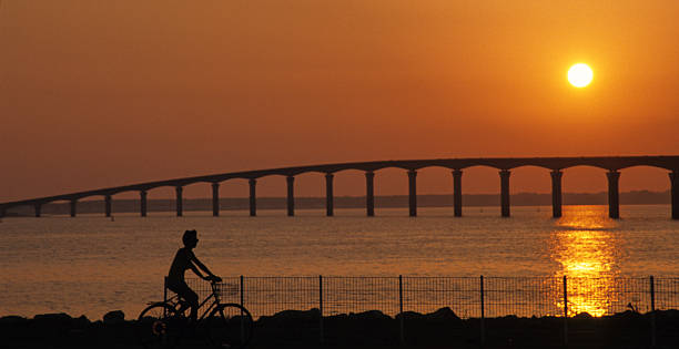 Pont de l'île de Ré image 4